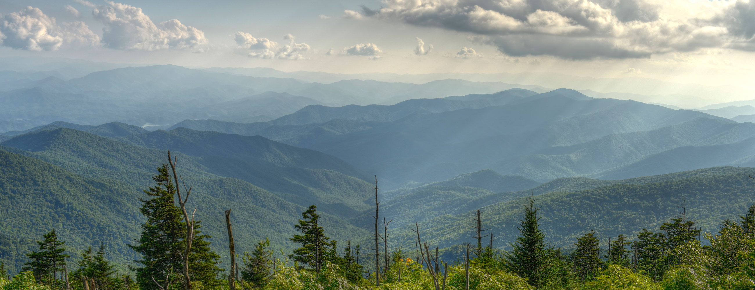 UgcNpWLZuWaTdBCVivzlo