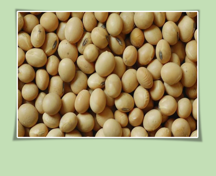 Soybeans