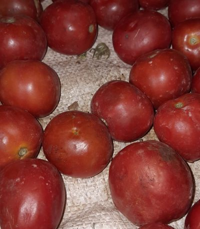 Inyanya turi kuzigurisha kugiciro kiza kuva 1000 kugeza 2000