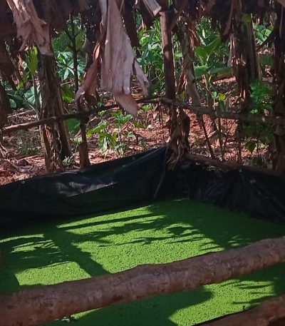 Azora ubwansibwiza Kugurube ikiro1 kigura5000f Muzetubigishe ukotibuhiga karibu